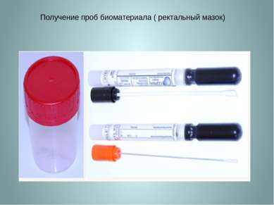 Получение проб биоматериала ( ректальный мазок)