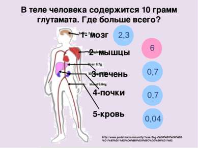 В теле человека содержится 10 грамм глутамата. Где больше всего? 1- мозг http...