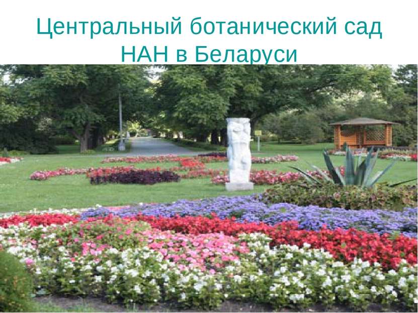 Центральный ботанический сад НАН в Беларуси