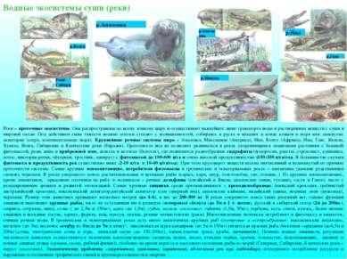 Водные экосистемы суши (реки) Реки – проточные экосистемы. Они распространены...