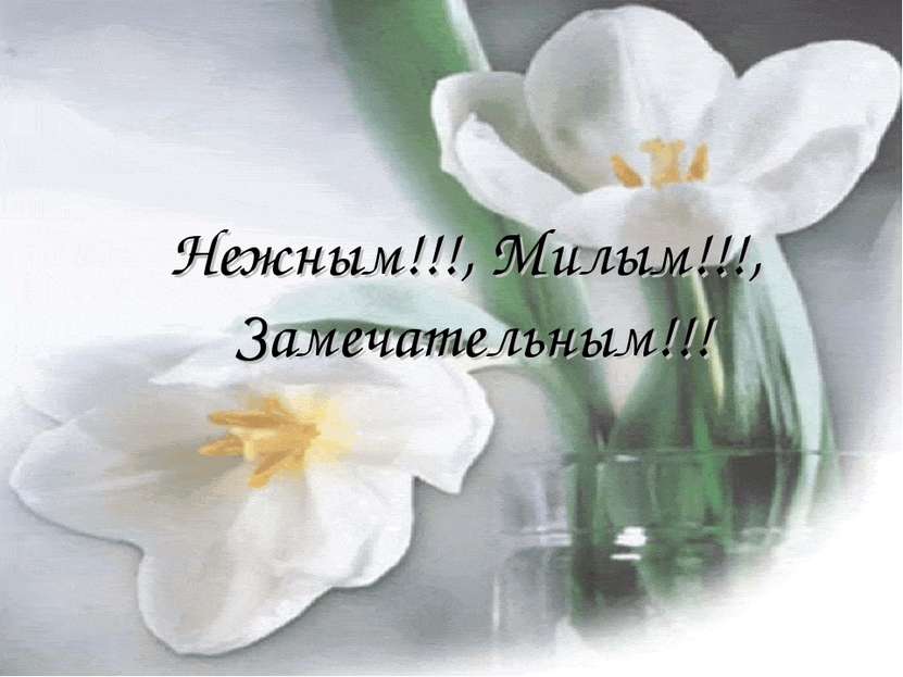 Нежным!!!, Милым!!!, Замечательным!!!