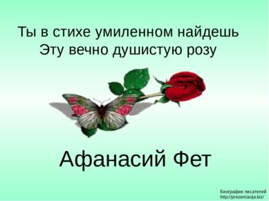 Ты в стихе умиленном найдешь Эту вечно душистую розу Афанасий Фет Биографии п...