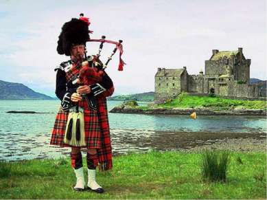 The Pipes The Scottish musical instrument is the pipes or bagpipes.