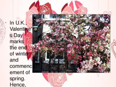 Spring In U.K., Valentine's Day marks the end of winter and commencement of s...