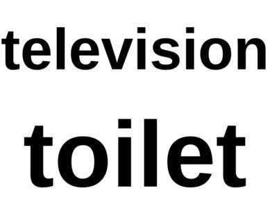 television toilet