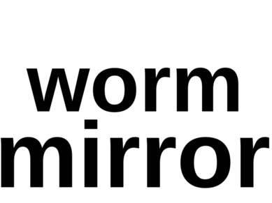 worm mirror