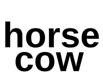 horse cow