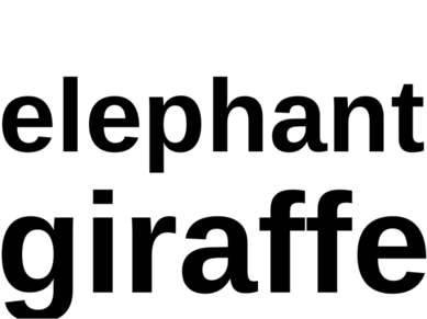 elephant giraffe