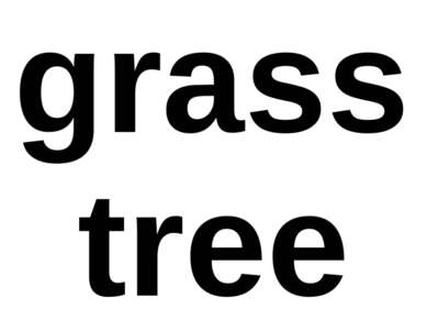 grass tree