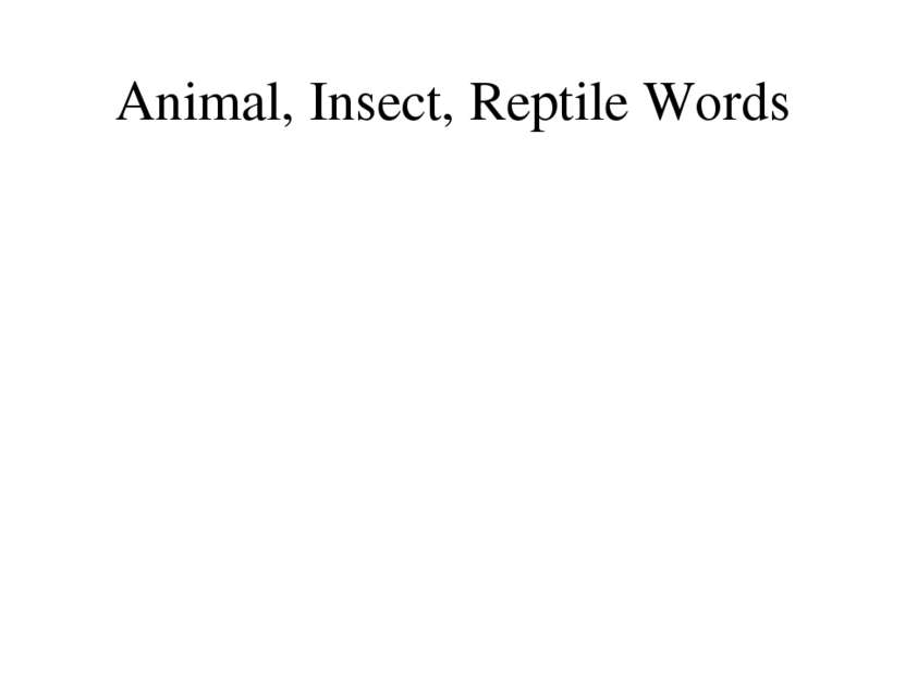 Animal, Insect, Reptile Words