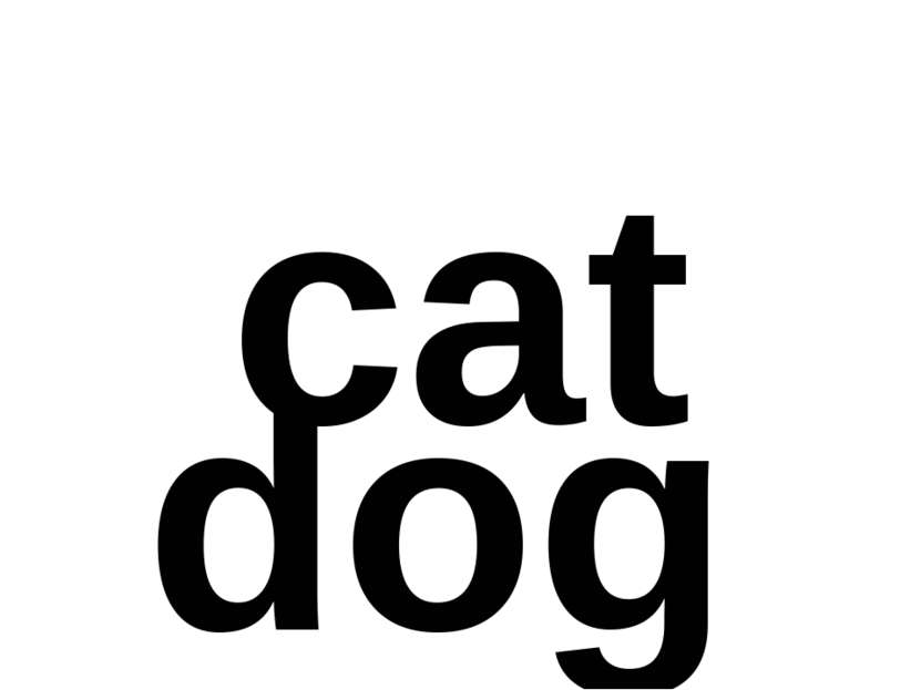 cat dog