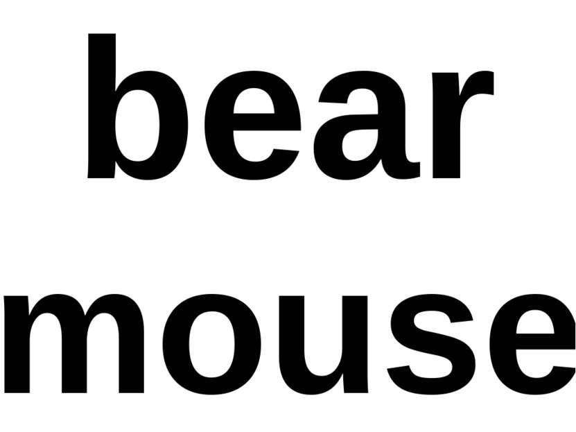 bear mouse