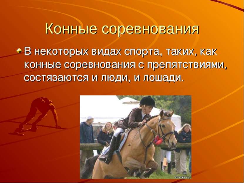 Конные соревнования В некоторых видах спорта, таких, как конные соревнования ...