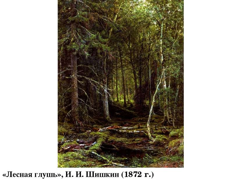 «Лесная глушь», И. И. Шишкин (1872 г.)