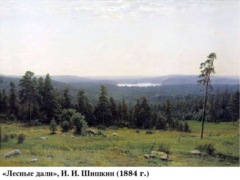 «Лесные дали», И. И. Шишкин (1884 г.)
