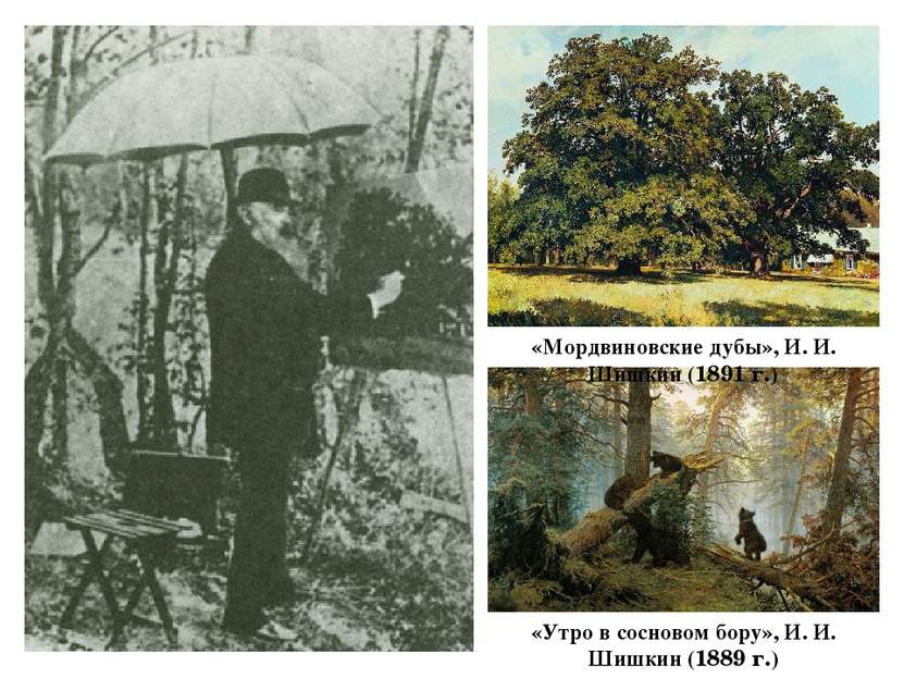 «Мордвиновские дубы», И. И. Шишкин (1891 г.) «Утро в сосновом бору», И. И. Ши...