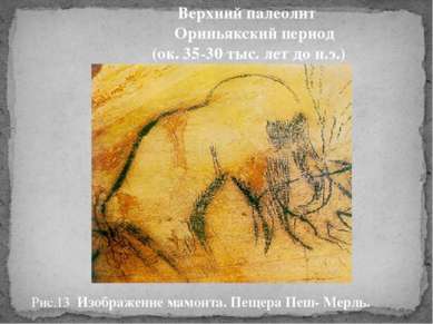 Рис.13 Изображение мамонта. Пещера Пеш- Мерль. Верхний палеолит Ориньякский п...