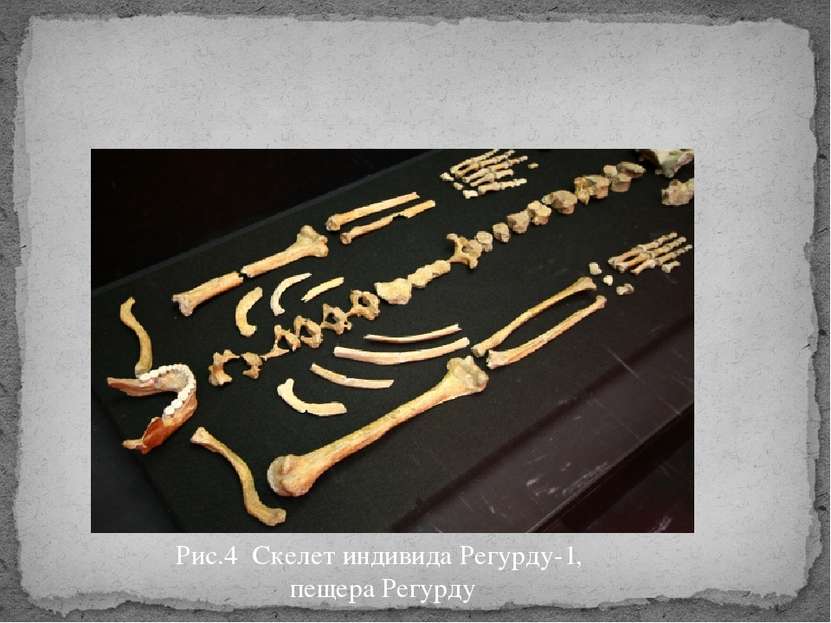 Средний палеолит Эпоха Мустье ок. 100 – 40 тысяч лет д. н. э. Рис.4 Скелет ин...