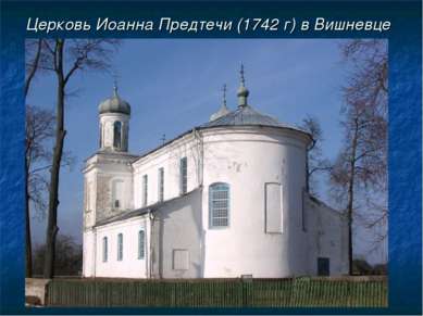 Церковь Иоанна Предтечи (1742 г) в Вишневце