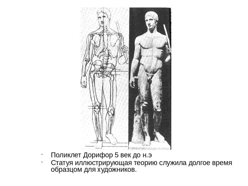 Поликлет Дорифор 5 век до н.э Статуя иллюстрирующая теорию служила долгое вре...
