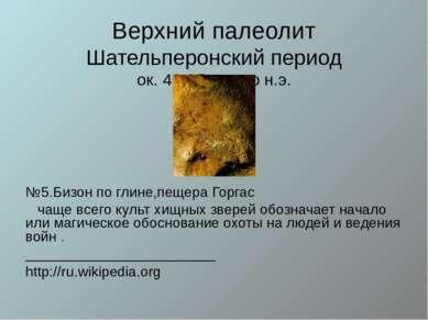 Верхний палеолит Шательперонский период ок. 40-35 лет до н.э. №5.Бизон по гли...