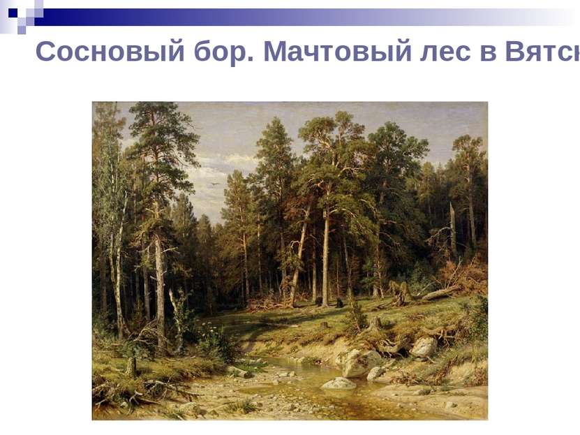 Сосновый бор. Мачтовый лес в Вятской губернии. 1872