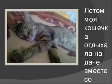 Летом моя кошечка отдыхала на даче вместе со мной))))))))))))