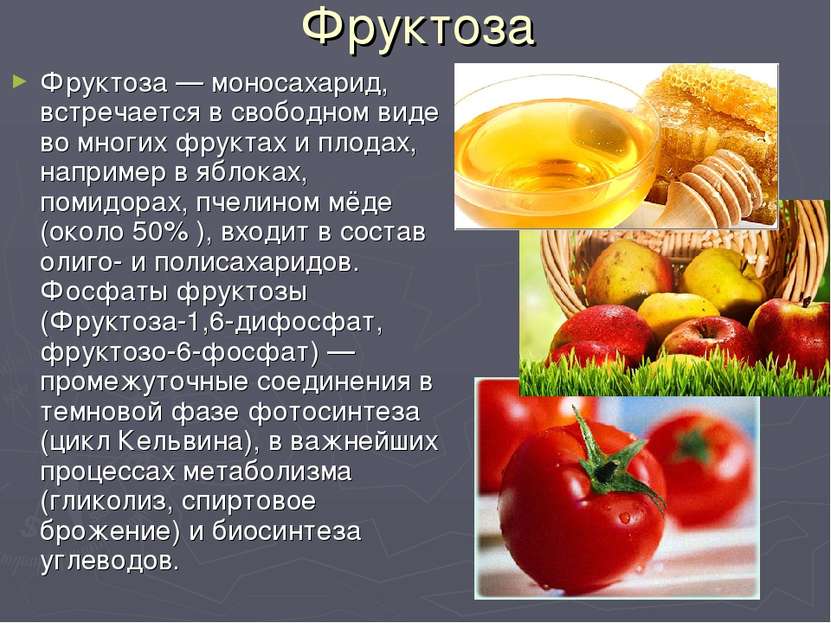 Фруктоза Фруктоза — моносахарид, встречается в свободном виде во многих фрукт...