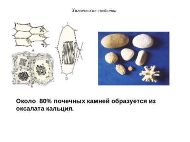 Около 80% почечных камней образуется из оксалата кальция. Химические свойства