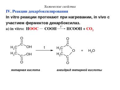 Химические свойства IV. Реакции декарбоксилирования In vitro реакции протекаю...