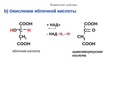 Химические свойства b) Окисление яблочной кислоты COOH COOH HO C H C O CH2 CH...
