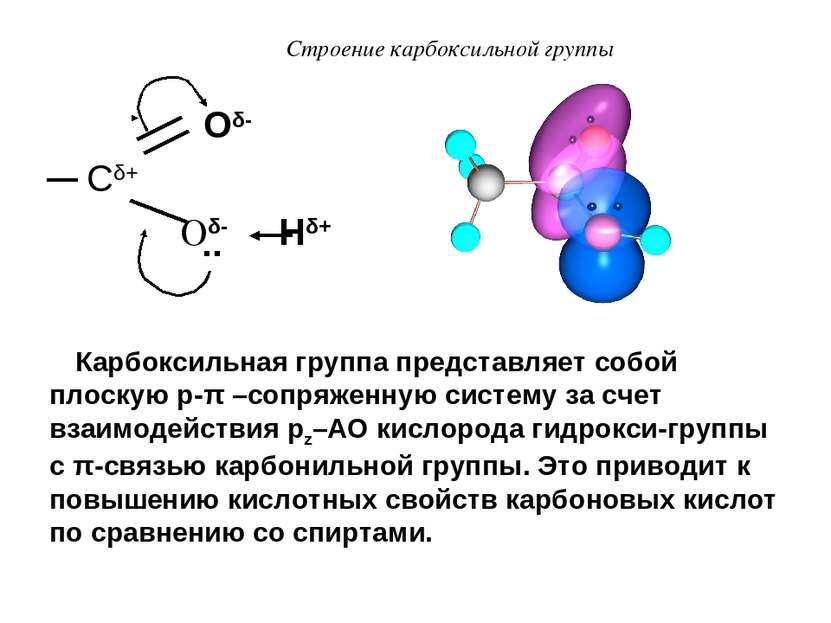 Строение карбоксильной группы Оδ- Сδ+ Оδ- Нδ+ .. Карбоксильная группа предста...