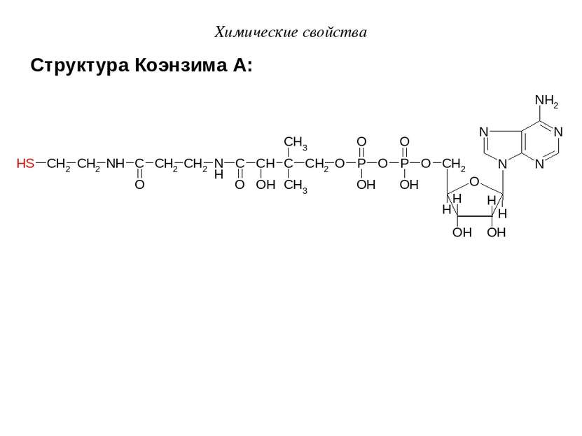 Структура Коэнзима А: Химические свойства