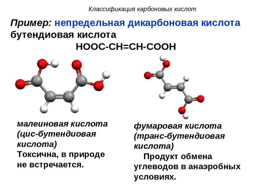 малеиновая кислота (цис-бутендиовая кислота) Токсична, в природе не встречает...