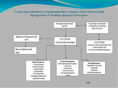 Структура районного координационного центра областной целевой программы «Семе...