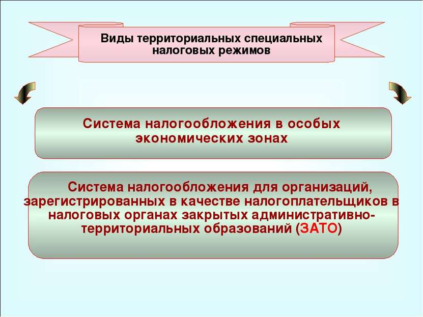 49 Система налогообложения для организаций, зарегистрированных в качестве нал...