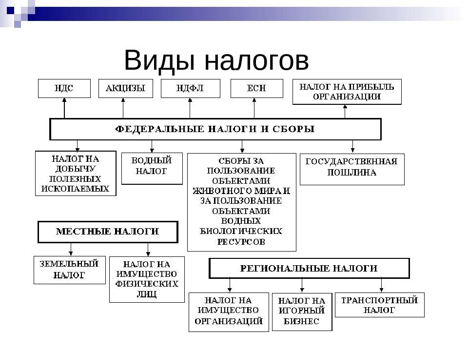 Налоги и налоговая система в рф план