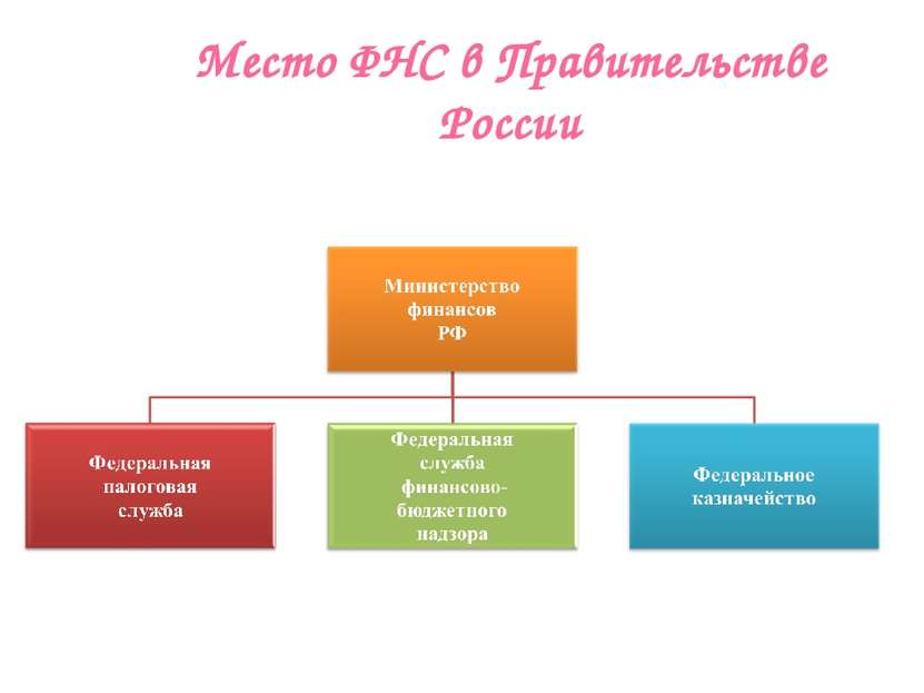 Место ФНС в Правительстве России