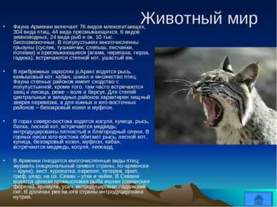 Животный мир Фауна Армении включает 76 видов млекопитающих, 304 вида птиц, 44...