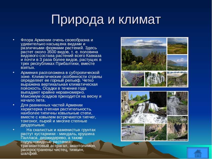 Природа и климат Флора Армении очень своеобразна и удивительно насыщена видам...