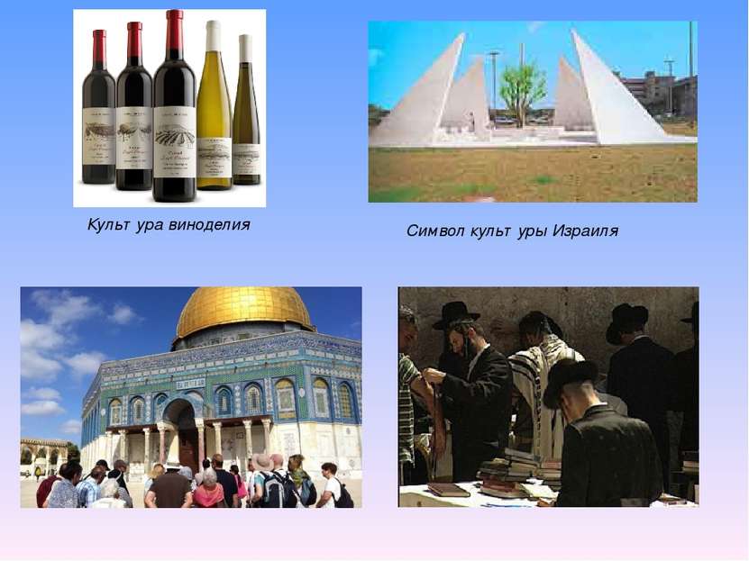 Культура виноделия Символ культуры Израиля