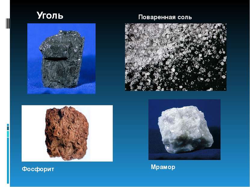 Уголь Поваренная соль Фосфорит Мрамор