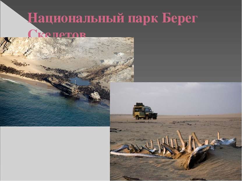 Национальный парк Берег Скелетов