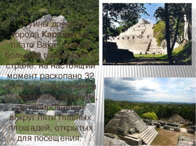 Руины древнего города Каракол на плато Вака - самый большой город майя в стра...