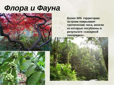 Флора и Фауна Более 50% территории острова покрывают тропические леса, многие...