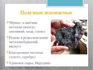 Полезные ископаемые Чёрные и цветные металлы (железо, алюминий, медь, олово) ...