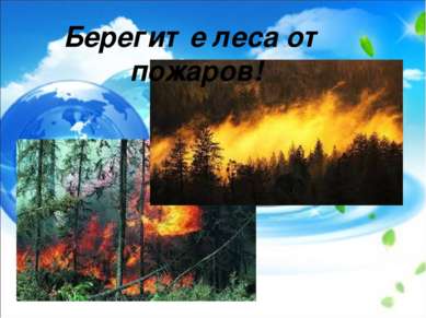 Берегите леса от пожаров!
