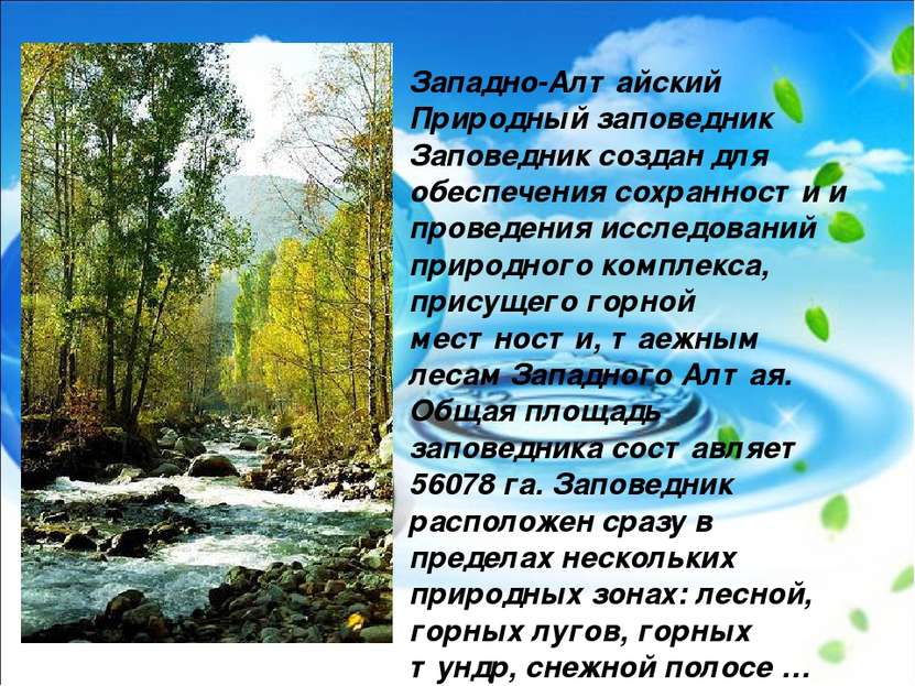 Западно-Алтайский Природный заповедник Заповедник создан для обеспечения сохр...