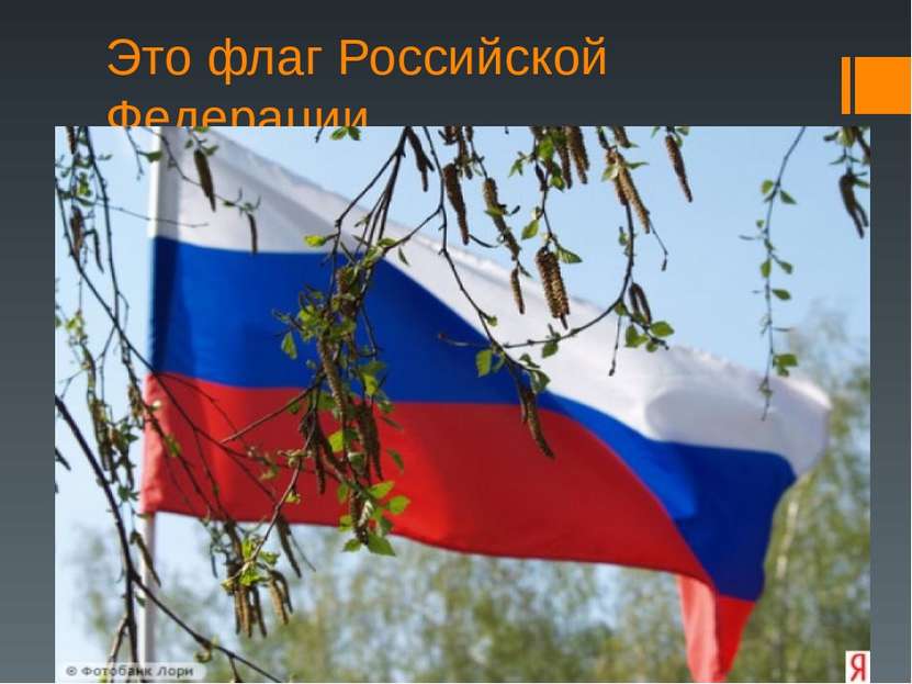 Это флаг Российской Федерации на фоне берёзы.