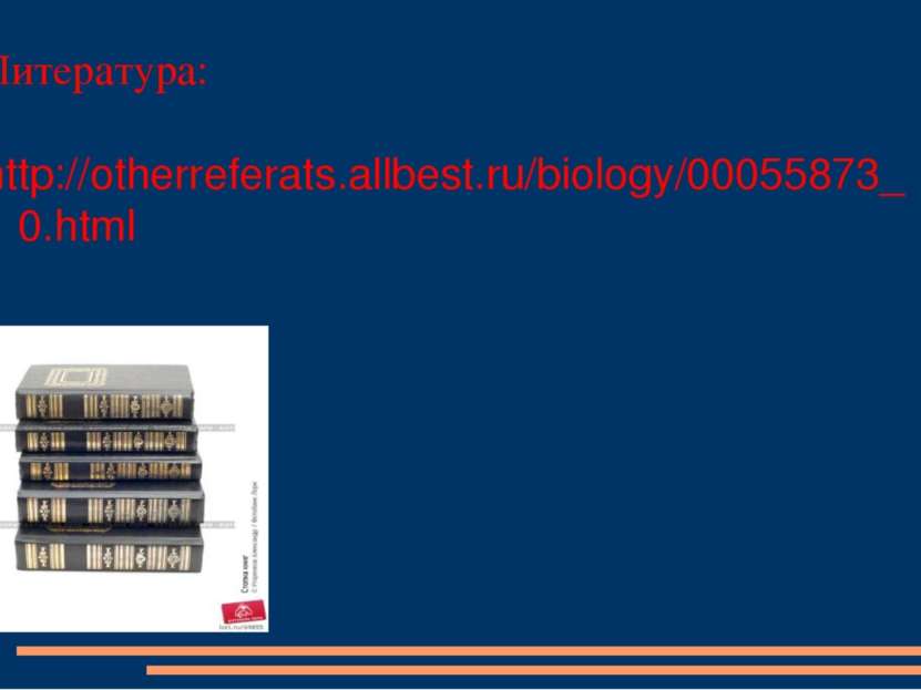 Литература: http://otherreferats.allbest.ru/biology/00055873_0.html
